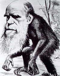Darwin Monkey